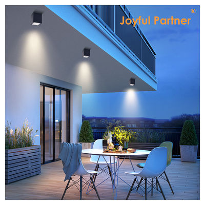 Joyful LED dinding langit-langit permukaan Gunung Cahaya 4W 8W 220V AC Aluminium Body