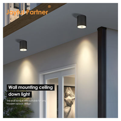CE IP65 Lampu langit-langit permukaan dipasang downlight tahan air spot lampu Cree Cob LED Dengan Desain Bulat