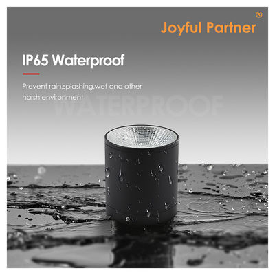 LED Dark Cylinder Wall Mounted Lighting For Outdoor Garden Wall Daylight COB Al Material Dengan Layanan OEM