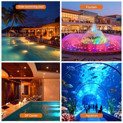 AC12V Lampu Kolam Renang Plastik 6W Resin Diisi 100% IP68 Untuk Penggunaan Di Bawah Air